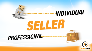 Professional or Individual seller account on Amazon